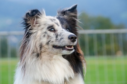 HVD BGH-Kurs 29-09-2018 045