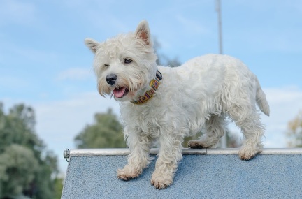 HVD BGH-Kurs 06-10-2018 19