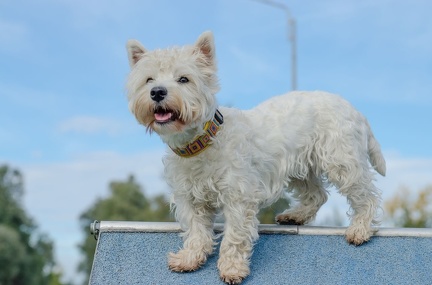 HVD BGH-Kurs 06-10-2018 20