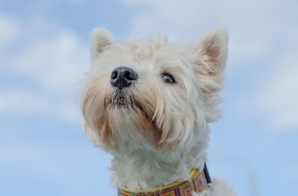 HVD BGH-Kurs 06-10-2018 21