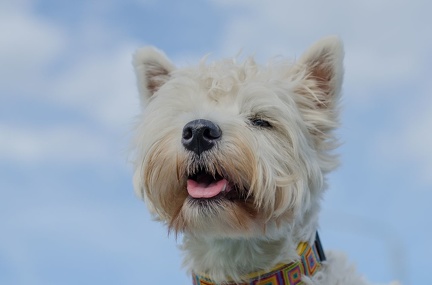 HVD BGH-Kurs 06-10-2018 22