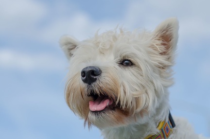 HVD BGH-Kurs 06-10-2018 23