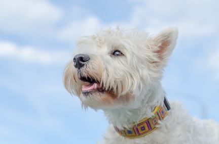 HVD BGH-Kurs 06-10-2018 25