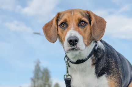 HVD BGH-Kurs 06-10-2018 39