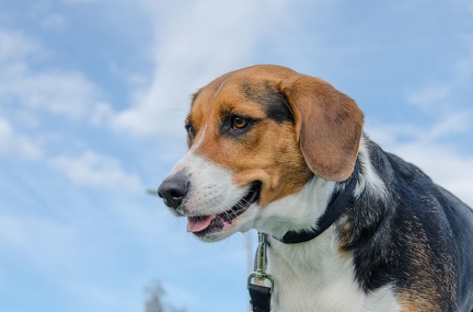 HVD BGH-Kurs 06-10-2018 38