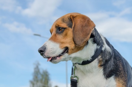 HVD BGH-Kurs 06-10-2018 40