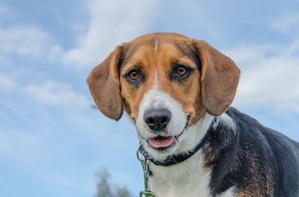 HVD BGH-Kurs 06-10-2018 41