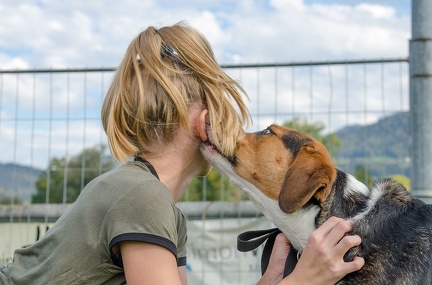 HVD BGH-Kurs 06-10-2018 46