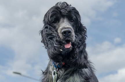 HVD BGH-Kurs 06-10-2018 58