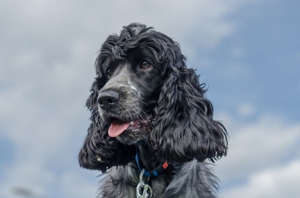 HVD BGH-Kurs 06-10-2018 59