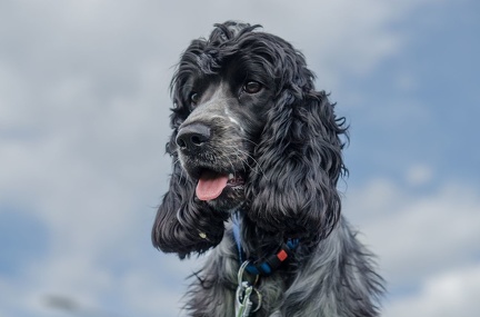 HVD BGH-Kurs 06-10-2018 60