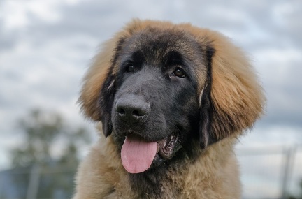 HVD BGH-Kurs 06-10-2018 71