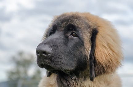 HVD BGH-Kurs 06-10-2018 70