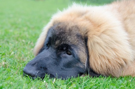 HVD BGH-Kurs 06-10-2018 74