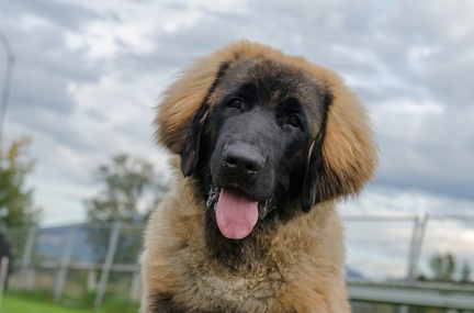 HVD BGH-Kurs 06-10-2018 72