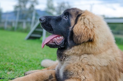 HVD BGH-Kurs 06-10-2018 75