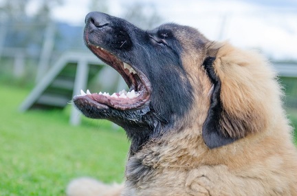 HVD BGH-Kurs 06-10-2018 77