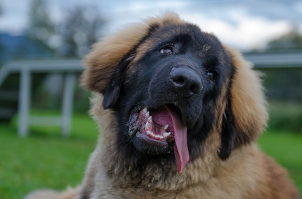 HVD BGH-Kurs 06-10-2018 78