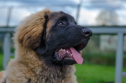 HVD BGH-Kurs 06-10-2018 79