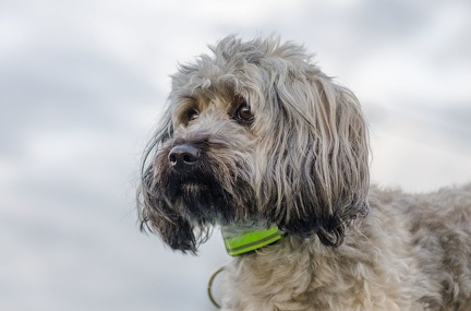 HVD BGH-Kurs 06-10-2018 86