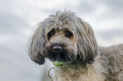 HVD BGH-Kurs 06-10-2018 87