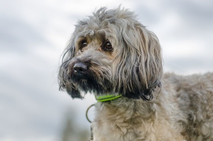 HVD BGH-Kurs 06-10-2018 88