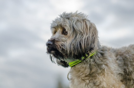 HVD BGH-Kurs 06-10-2018 90