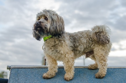 HVD BGH-Kurs 06-10-2018 91