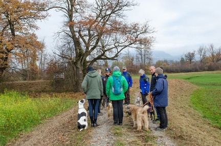 Krimiwanderung  17-11-2018 010