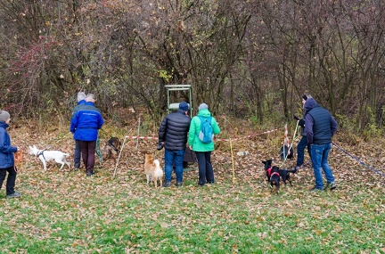 Krimiwanderung  17-11-2018 013