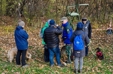 Krimiwanderung  17-11-2018 016