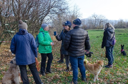 Krimiwanderung  17-11-2018 018