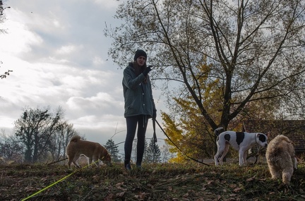 Krimiwanderung  17-11-2018 019