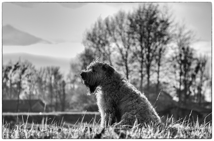 Krimiwanderung  17-11-2018 028