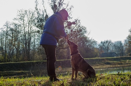 Krimiwanderung  17-11-2018 031