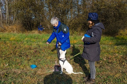 Krimiwanderung  17-11-2018 035