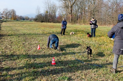 Krimiwanderung  17-11-2018 037