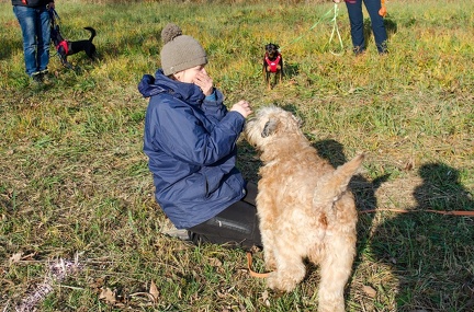 Krimiwanderung  17-11-2018 043