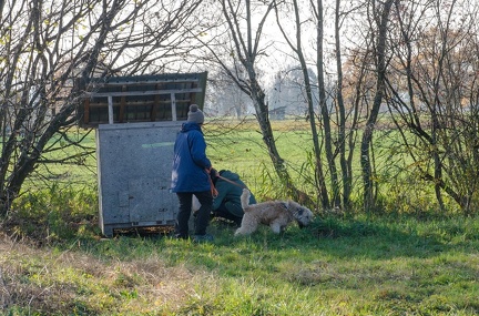 Krimiwanderung  17-11-2018 070
