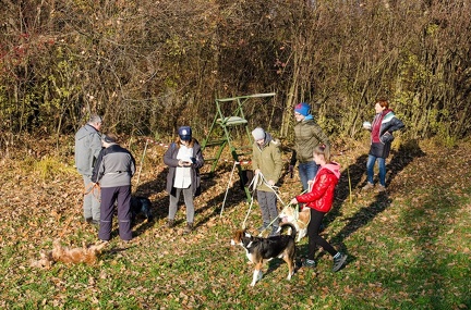 Krimiwanderung  17-11-2018 085