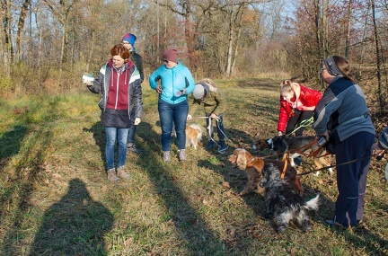 Krimiwanderung  17-11-2018 088