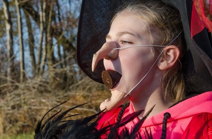 Krimiwanderung  17-11-2018 104