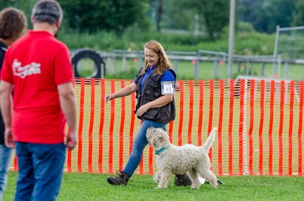 RO 13-07-2019 075