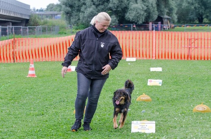 RO 13-07-2019 078