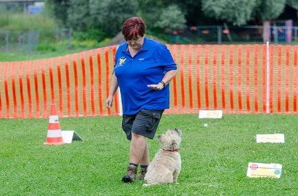 RO 13-07-2019 083
