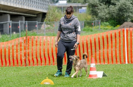 RO 13-07-2019 112