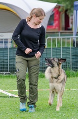 RO 13-07-2019 006