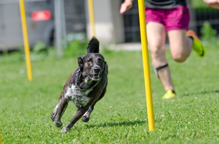 Slalom 14-07-2019 002