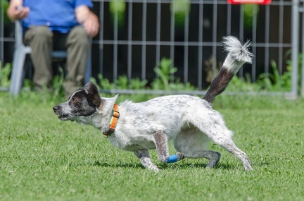Slalom 14-07-2019 064