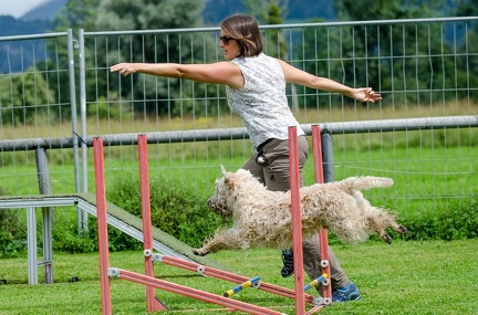 Wheaten im Sport 10-08-2019 137
